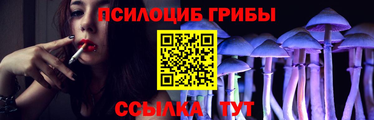 Галлюциногенные грибы GOLDEN TEACHER Владимир
