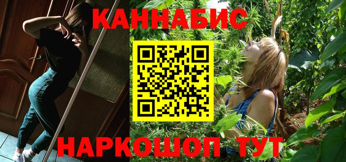 Шишки марихуана сатива  Вход с VPN  Владимир  МАРИХУАНА SATIVA & INDICA 